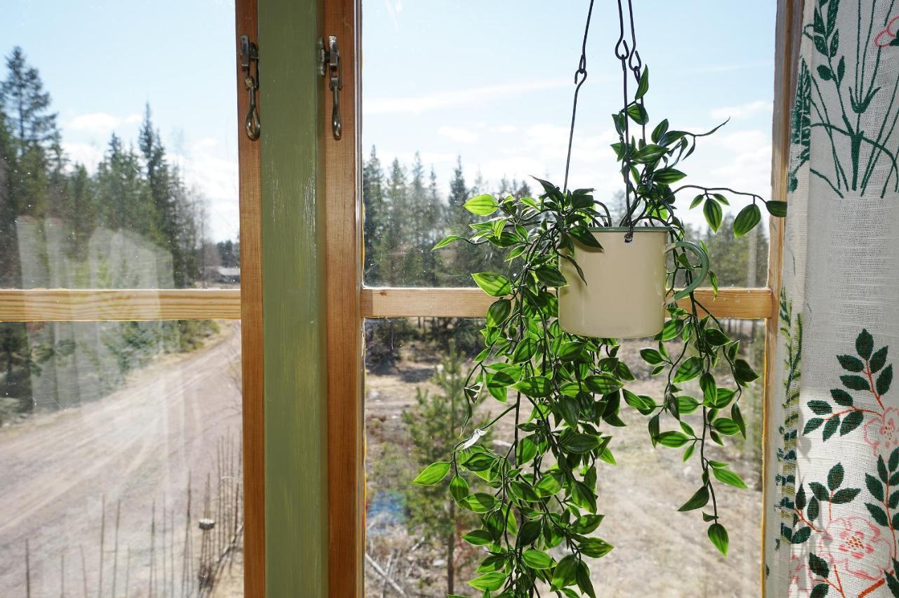 Mittjas Vallen Timber Lodge & Cabins Edsbyn エクステリア 写真